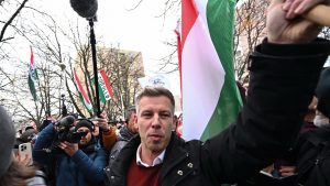 [Aggregator] Downloaded image for imported item #134260