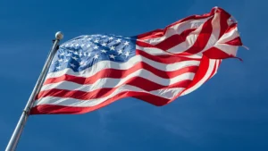 [Aggregator] Downloaded image for imported item #141898