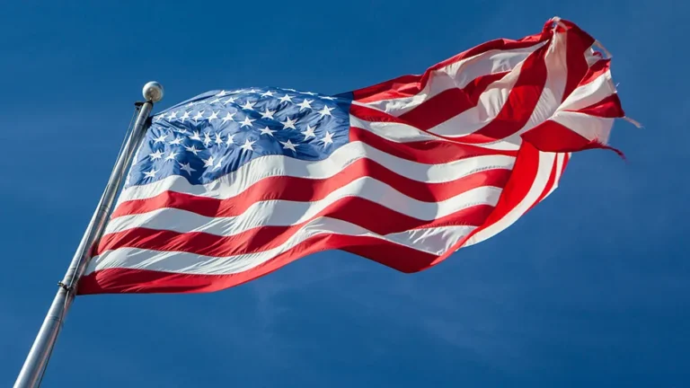 [Aggregator] Downloaded image for imported item #141898