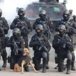 [Aggregator] Downloaded image for imported item #135795