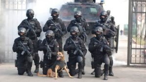 [Aggregator] Downloaded image for imported item #135795