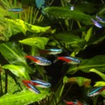 [Aggregator] Downloaded image for imported item #137911