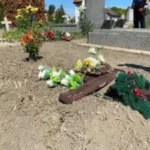 [Aggregator] Downloaded image for imported item #135047