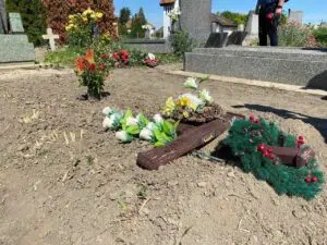 [Aggregator] Downloaded image for imported item #135047