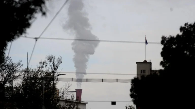 [Aggregator] Downloaded image for imported item #156490