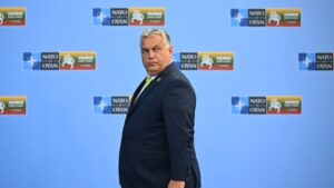 [Aggregator] Downloaded image for imported item #146852