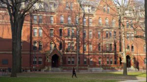 [Aggregator] Downloaded image for imported item #154154