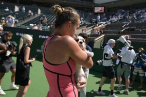 [Aggregator] Downloaded image for imported item #152031