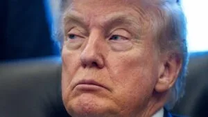 [Aggregator] Downloaded image for imported item #148788