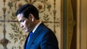 [Aggregator] Downloaded image for imported item #146077