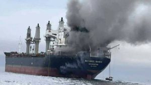 [Aggregator] Downloaded image for imported item #151745