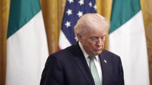 [Aggregator] Downloaded image for imported item #153679