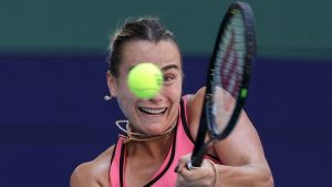 [Aggregator] Downloaded image for imported item #158500