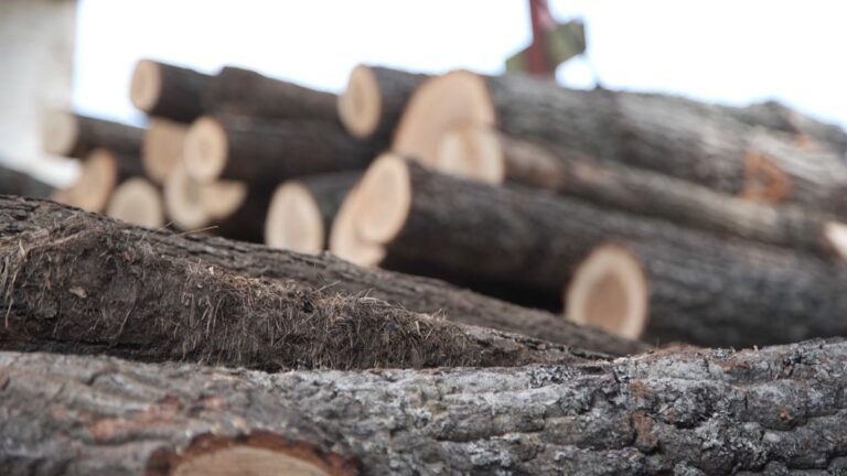 [Aggregator] Downloaded image for imported item #157614