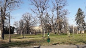 [Aggregator] Downloaded image for imported item #154394