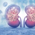 [Aggregator] Downloaded image for imported item #150121