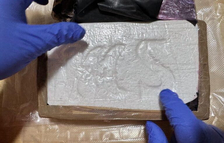 [Aggregator] Downloaded image for imported item #146694