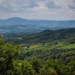 [Aggregator] Downloaded image for imported item #146135