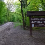 [Aggregator] Downloaded image for imported item #144816