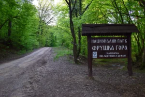 [Aggregator] Downloaded image for imported item #144816