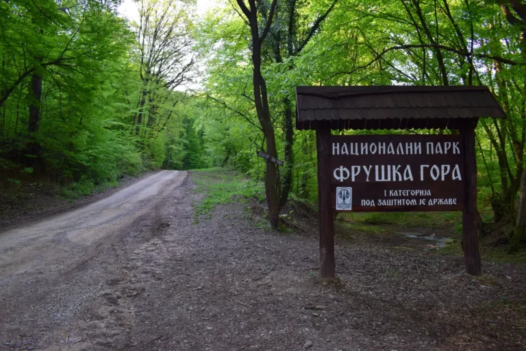 [Aggregator] Downloaded image for imported item #144816