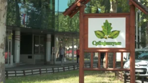 [Aggregator] Downloaded image for imported item #152832