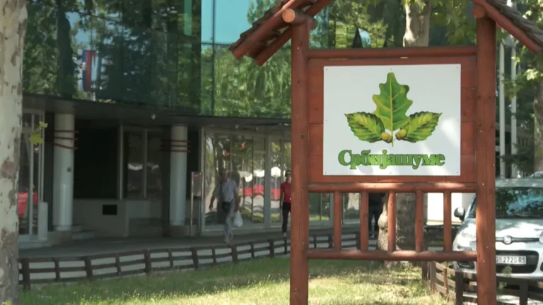 [Aggregator] Downloaded image for imported item #152832