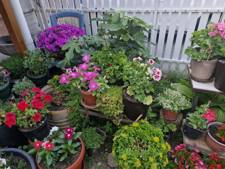 [Aggregator] Downloaded image for imported item #145749