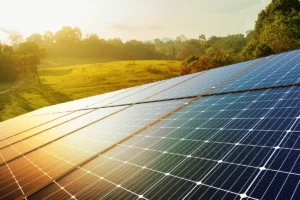 [Aggregator] Downloaded image for imported item #149613