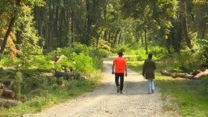 [Aggregator] Downloaded image for imported item #147700