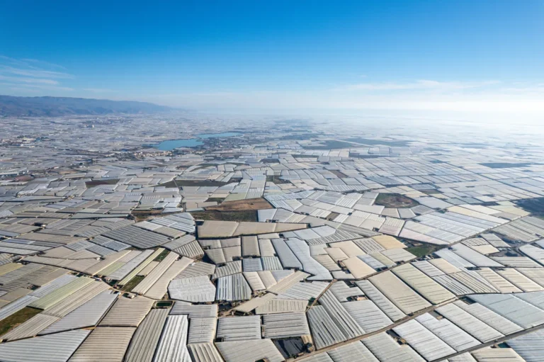 [Aggregator] Downloaded image for imported item #159426