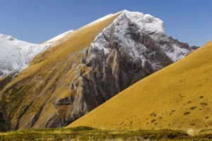 [Aggregator] Downloaded image for imported item #148434