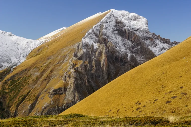 [Aggregator] Downloaded image for imported item #148434