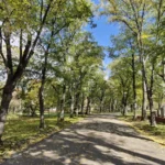 [Aggregator] Downloaded image for imported item #147788