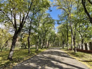 [Aggregator] Downloaded image for imported item #147788