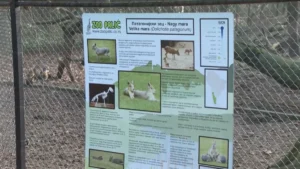 [Aggregator] Downloaded image for imported item #153817