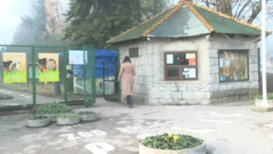 [Aggregator] Downloaded image for imported item #152389