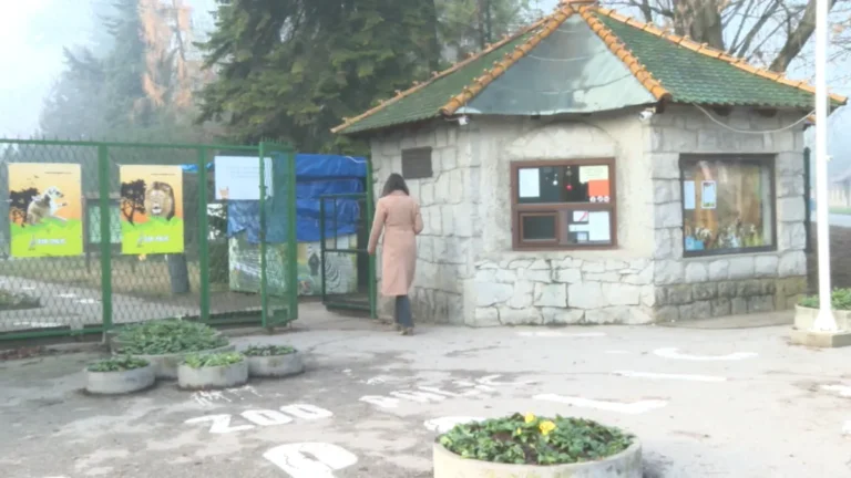 [Aggregator] Downloaded image for imported item #152389