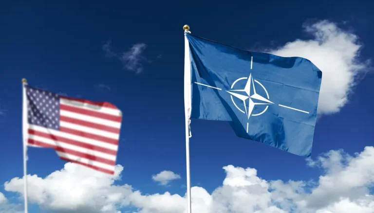 [Aggregator] Downloaded image for imported item #147345