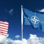 [Aggregator] Downloaded image for imported item #147345