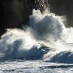 [Aggregator] Downloaded image for imported item #155869