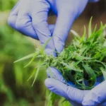 [Aggregator] Downloaded image for imported item #147426