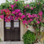 [Aggregator] Downloaded image for imported item #144811