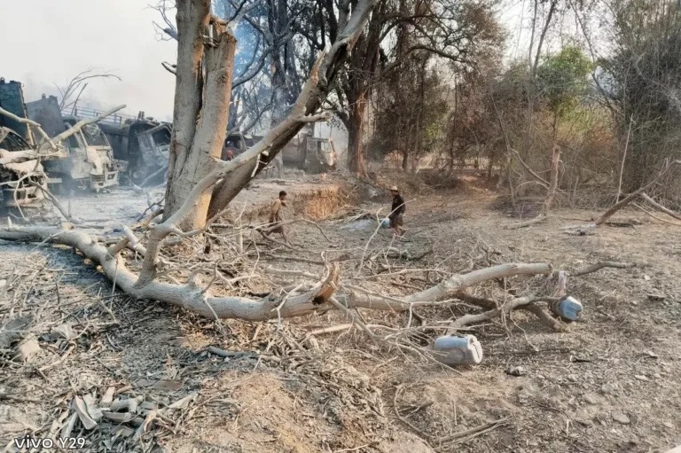 [Aggregator] Downloaded image for imported item #144922