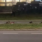 [Aggregator] Downloaded image for imported item #145353