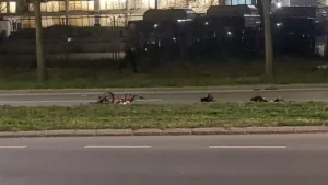 [Aggregator] Downloaded image for imported item #145353