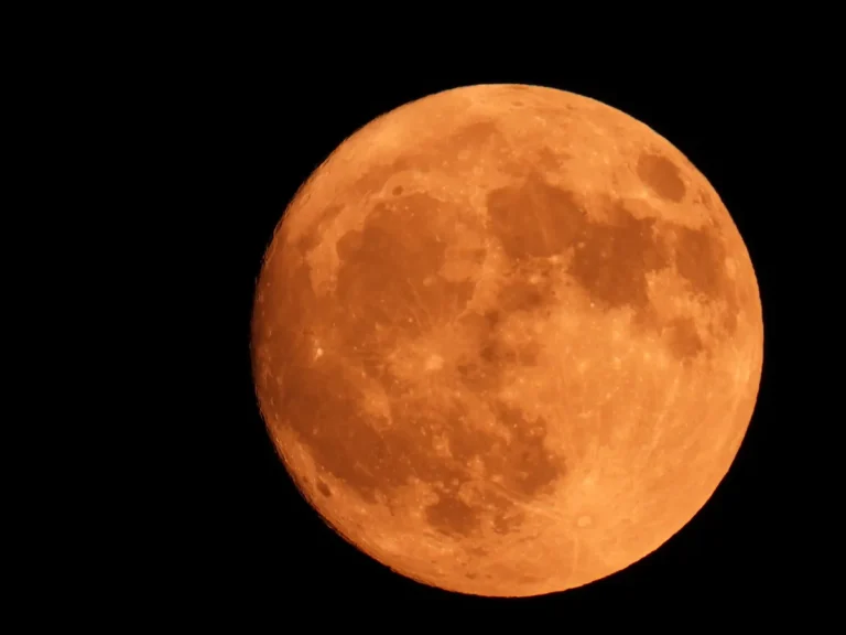 [Aggregator] Downloaded image for imported item #145617