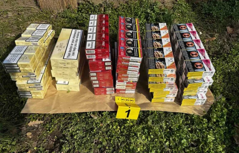 [Aggregator] Downloaded image for imported item #145893