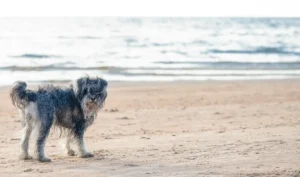 [Aggregator] Downloaded image for imported item #146233