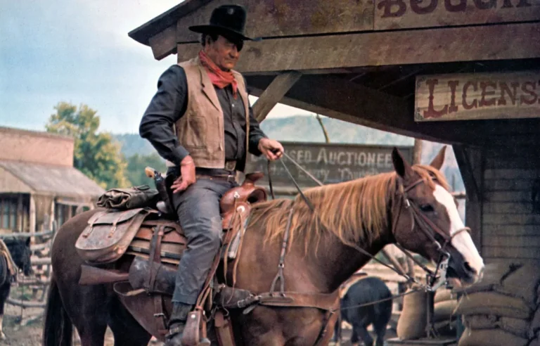 [Aggregator] Downloaded image for imported item #147877